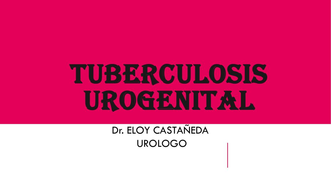 Tuberculosis urogenital  