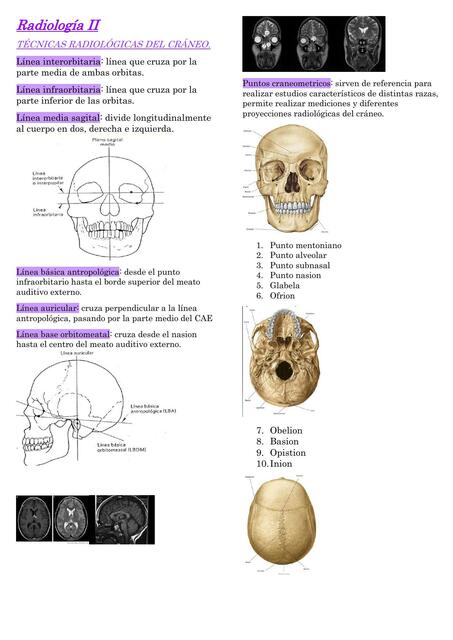 Radiología II