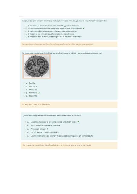 Histología Parcial I 1er grupo