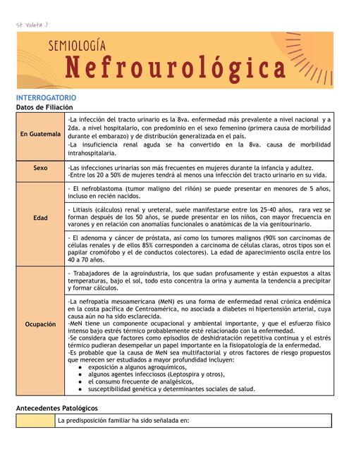 Semiología Nefrourológica