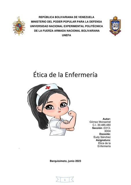 teoria de enfermeria