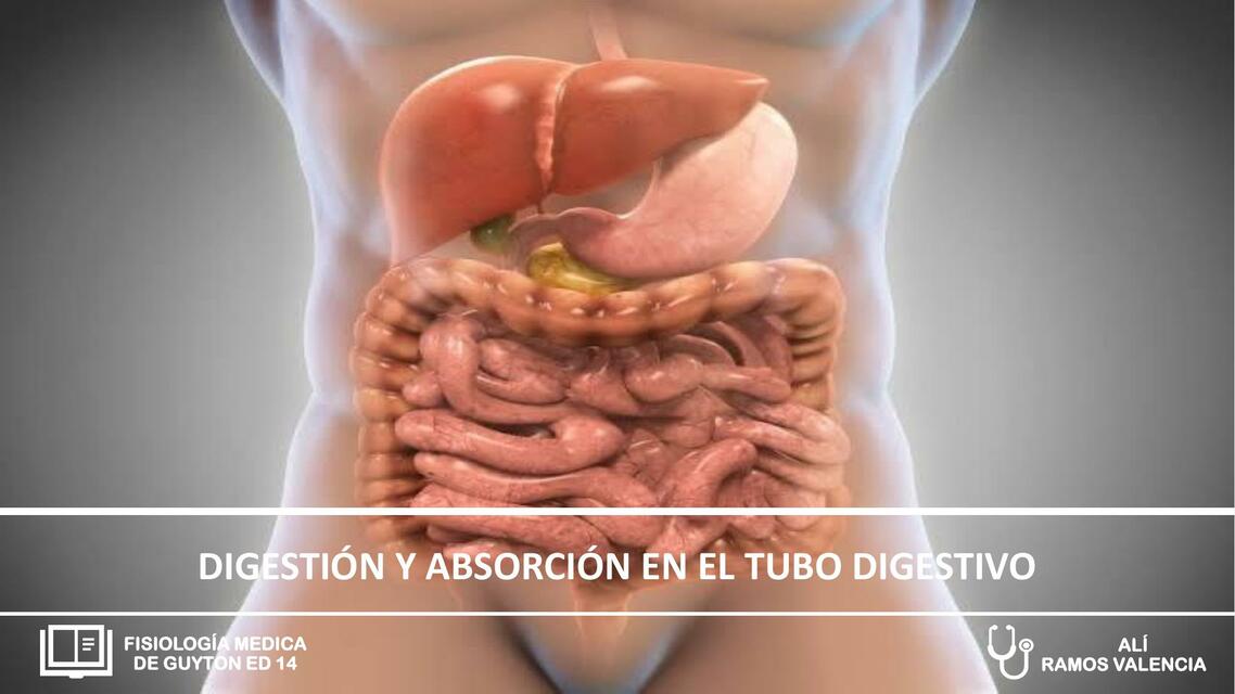 DIGESTION Y ABSORCION