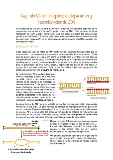 Replicación del ADN