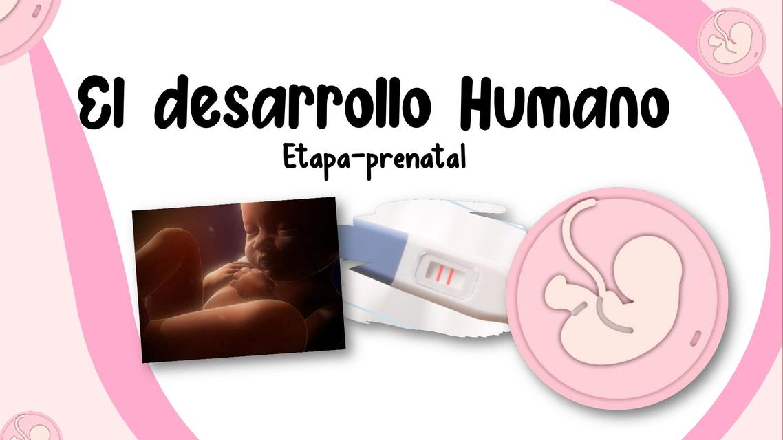 El desarrollo humano 