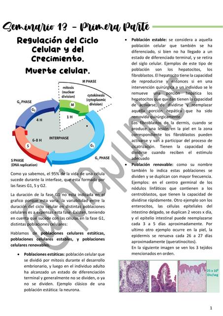 Biología Celular SEM 13 Parte 1 CAT 3 UBA