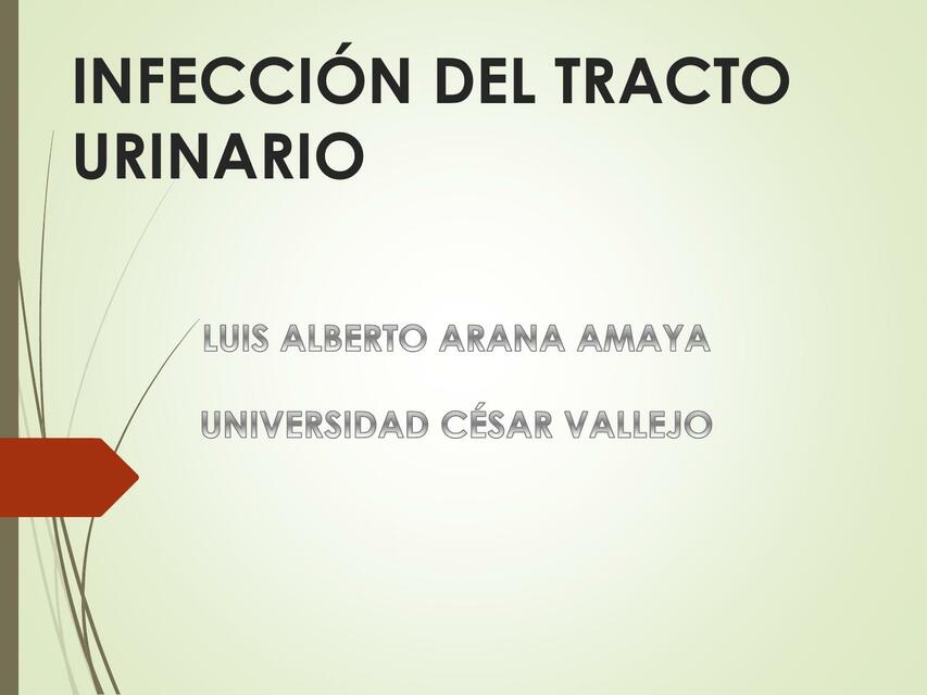 INFECCIONES URINARIAS