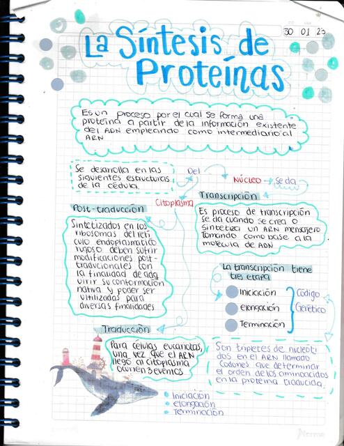 La sintesis de proteinas 