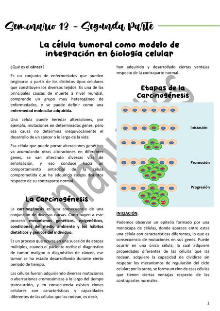 Biología Celular SEM 13 Parte 2 CAT 3 UBA