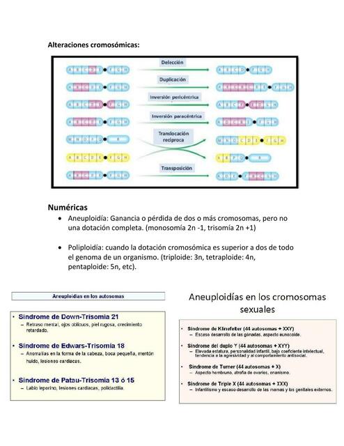 Alteraciones cromosómicas