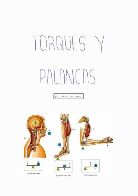 Torques y palancas