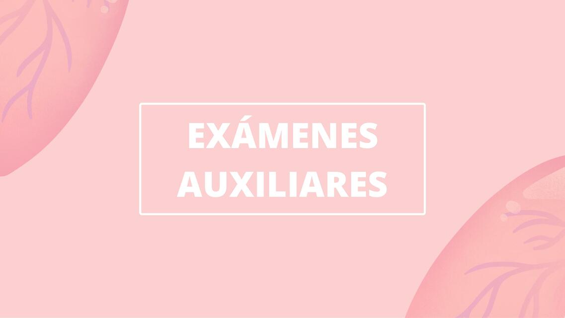 Exámenes Auxiliares 