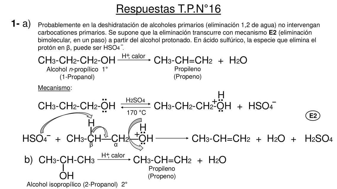 Respuestas T.P.N°16