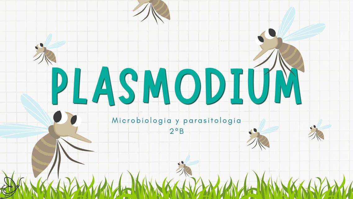 Plasmodium