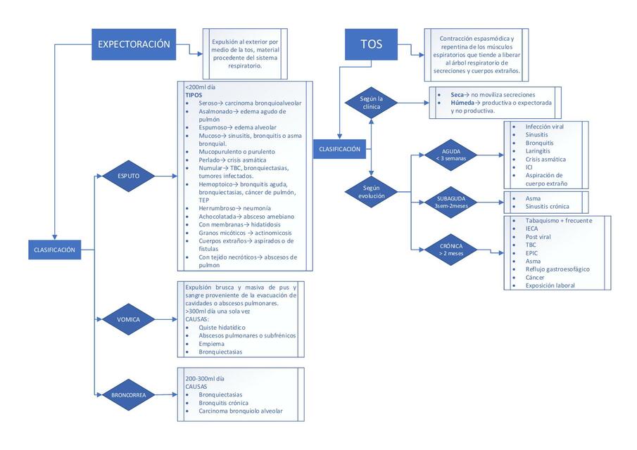 Sistema Respiratorio 