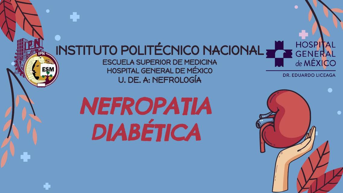 Nefropatía diabética