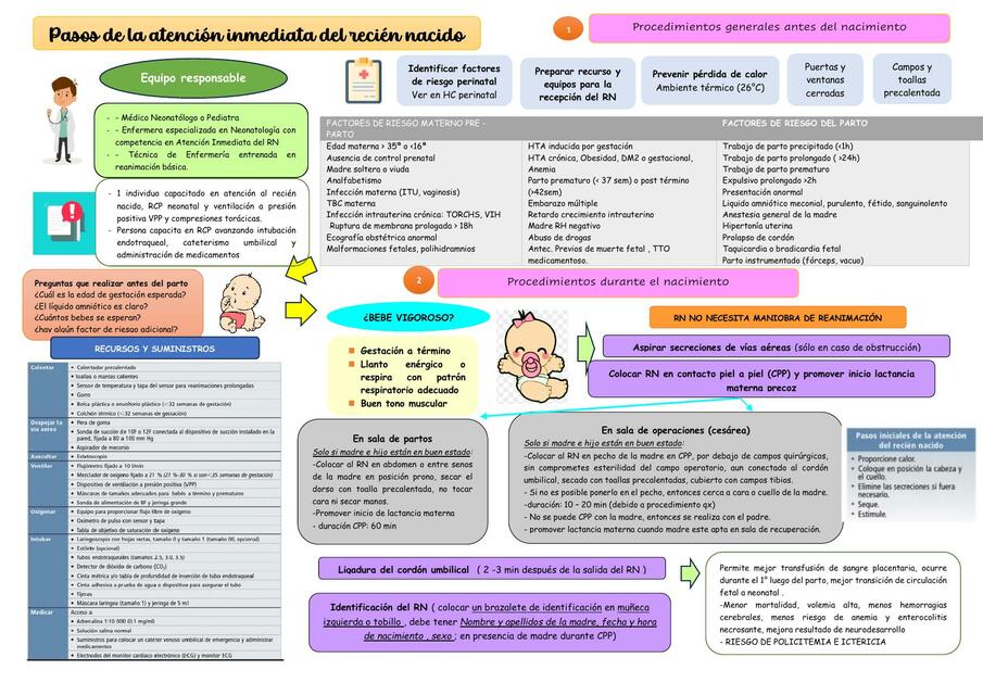 Pasos de la Atención Inmediata del Recién Nacido 