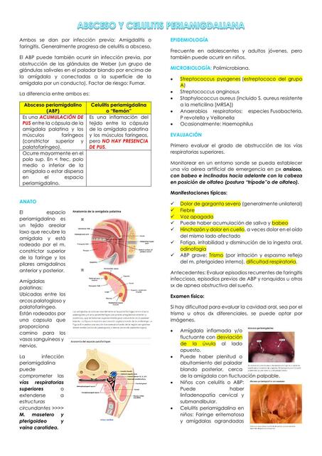 Absceso y celulitis periamigdalina con adenoides