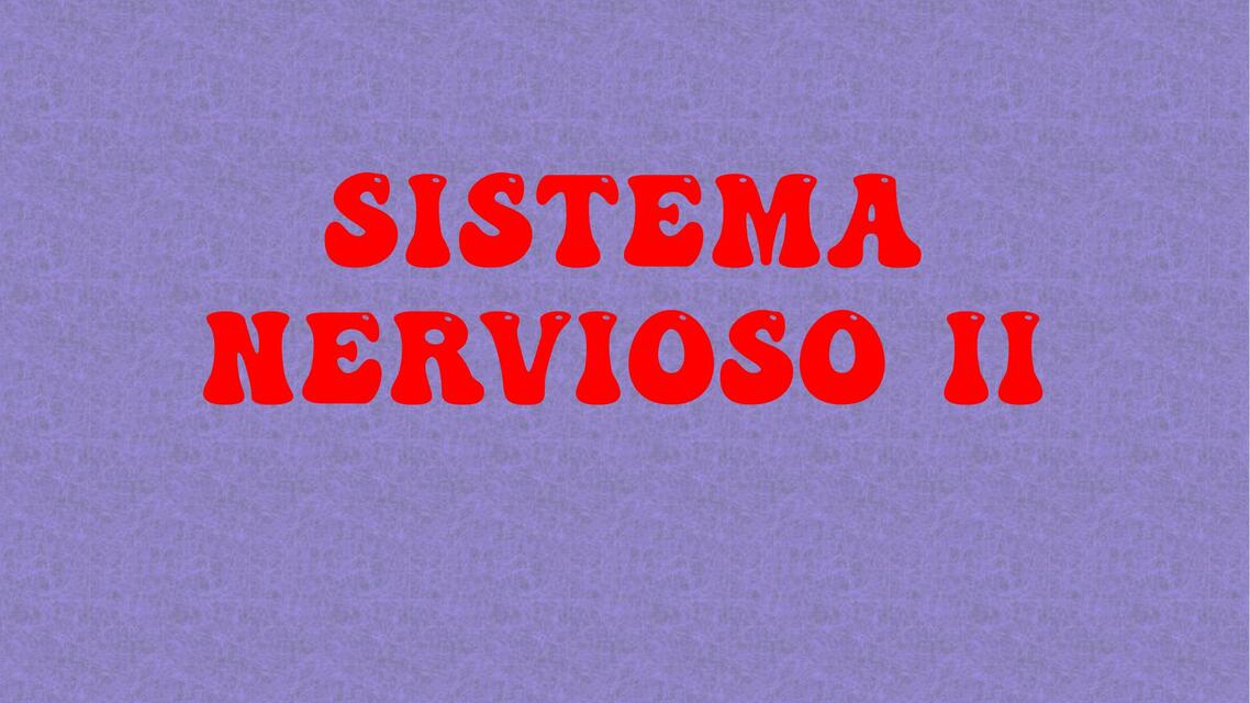 Sistema Nervioso Ii Marleny Cruz Garcia Udocz