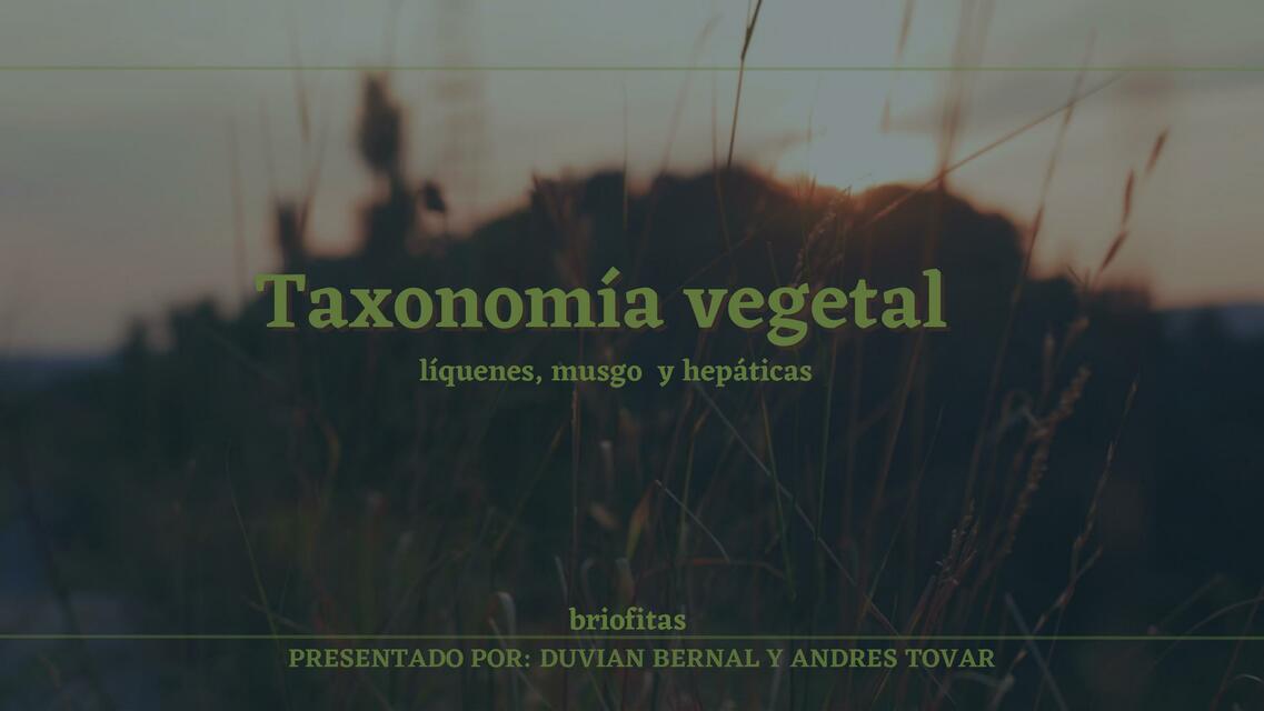 Taxonomía Vegetal 