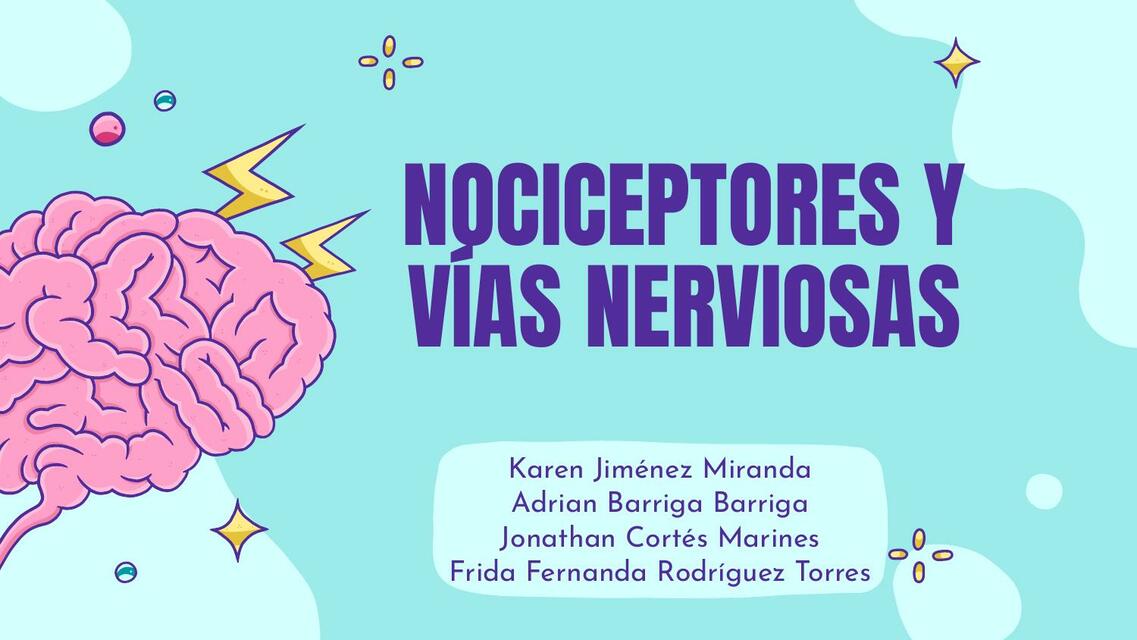 Nociceptores y Vías Nerviosas 