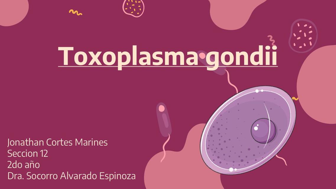 Toxoplasma gondii 