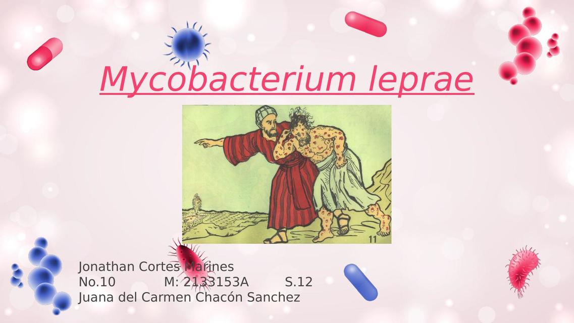 Mycobacterium leprae 