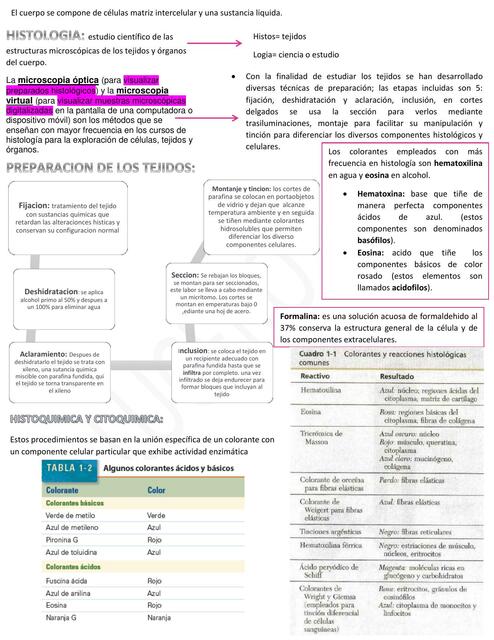 Histologia basica