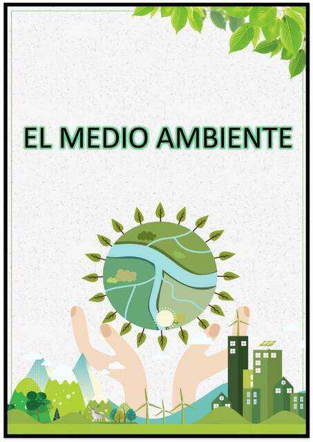 El Medio  Ambiente 