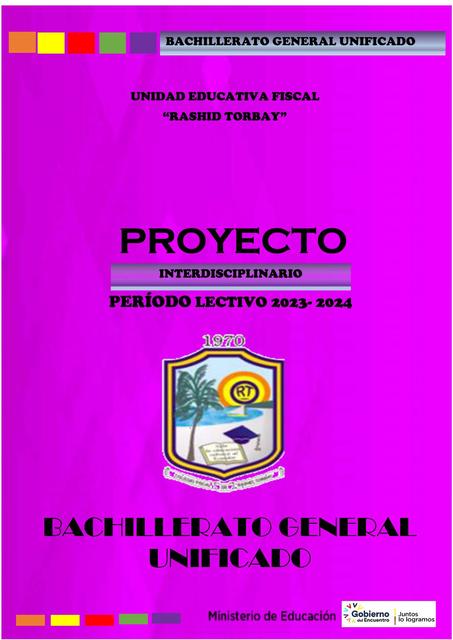 Proyecto interdisciplinario 