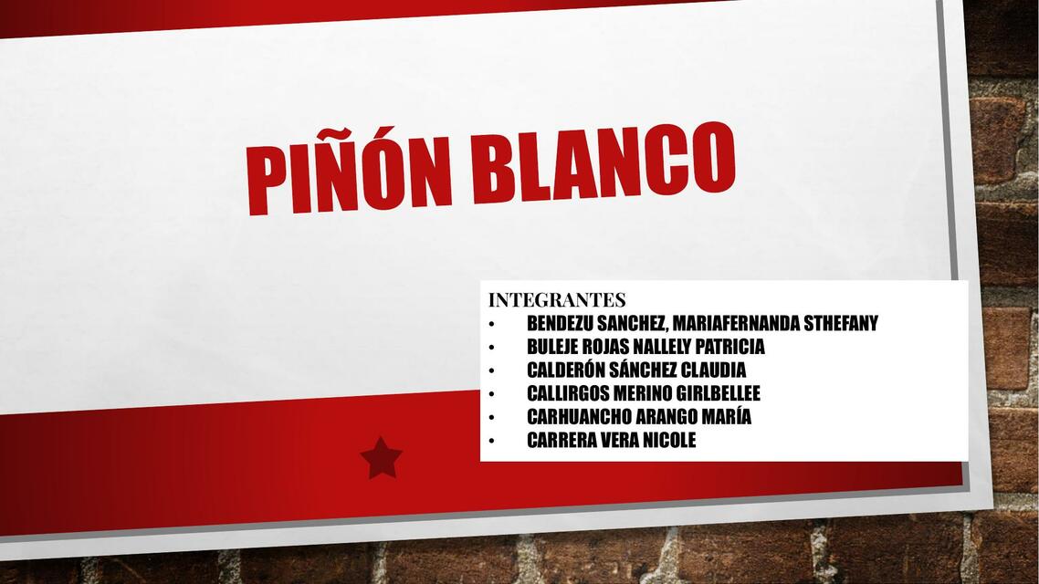 Piñón Blanco 