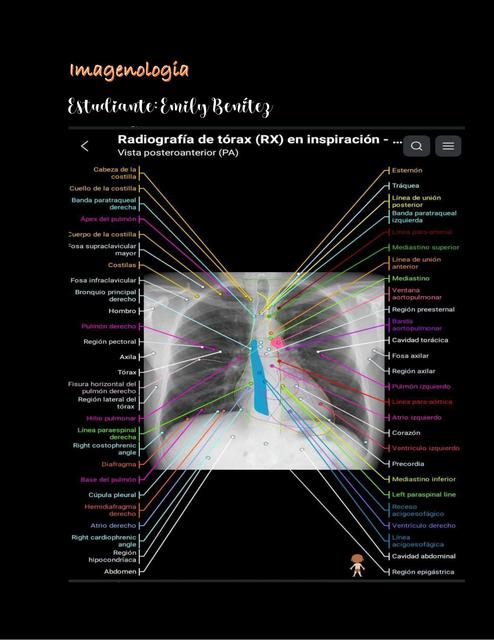 Imagenología  