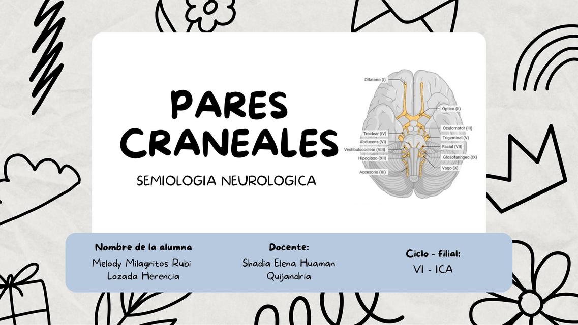 Pares craneales  