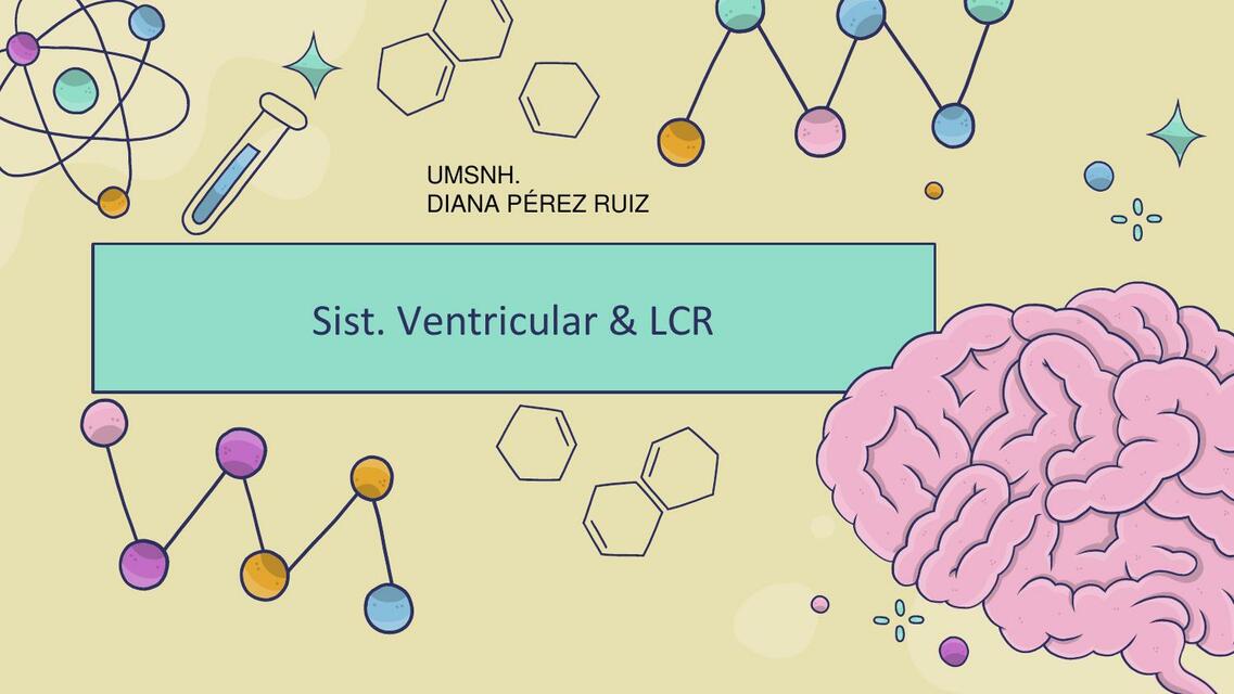 Sistema Ventricular