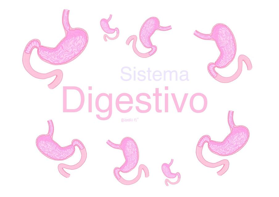 Digestivo