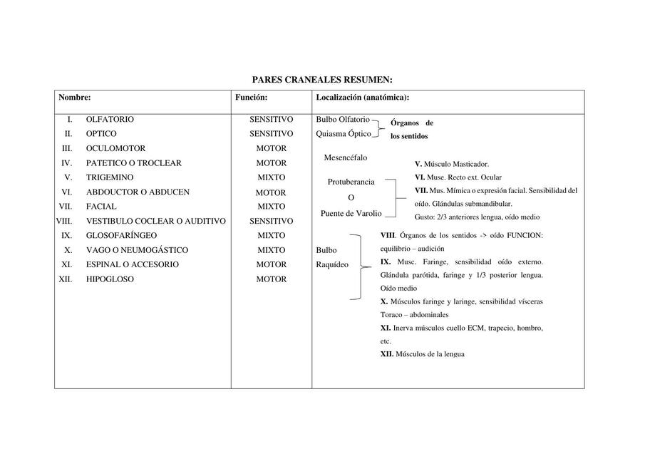 Pares  Craneales y Endocrino  