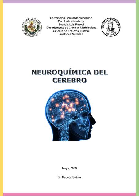 Neuroquímica del Cerebro - Br. Rebeca Suárez