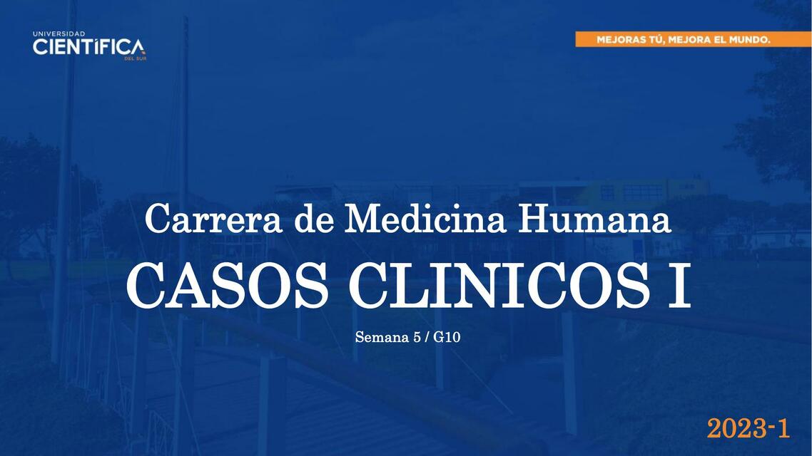 Endometritis Puerperal xd uDocz