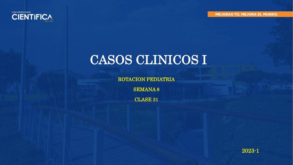 Casos clínicos I