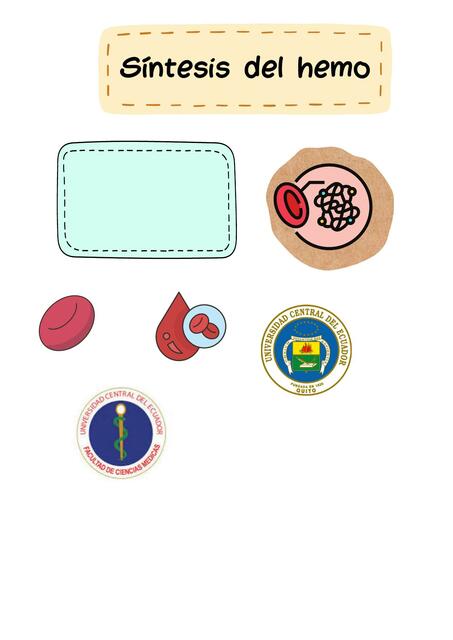 Síntesis del Hemo | Cinthy Bautista | uDocz