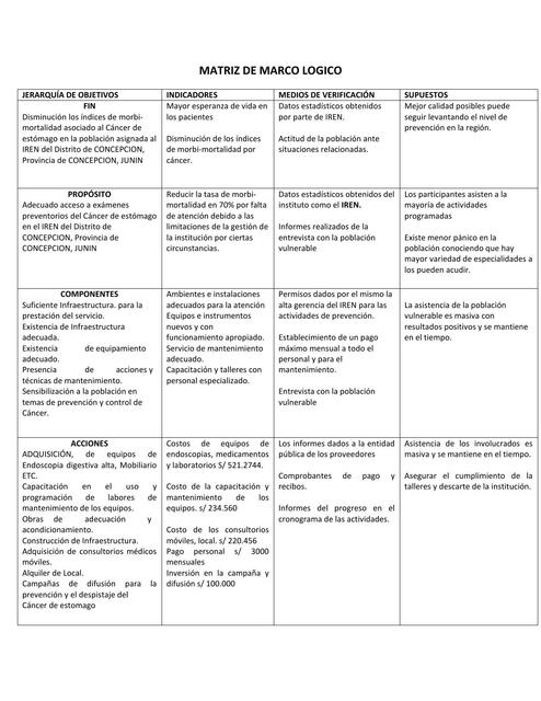 Matriz de Marco Lógico 