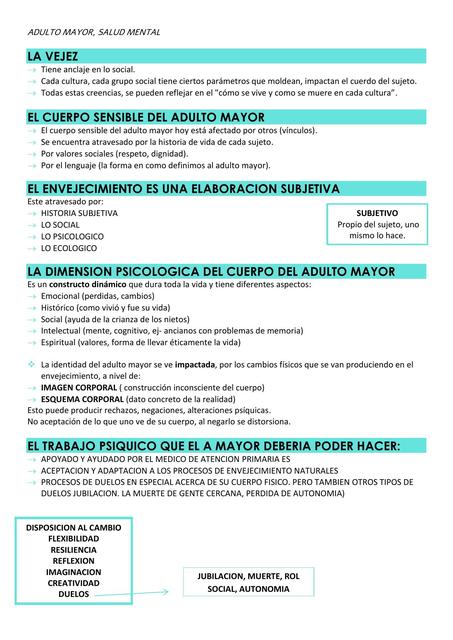 Salud Mental en el Adulto Mayor 