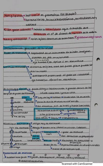 Biología Celular Ubaxxi  