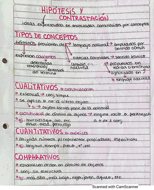 Hipótesis y Constrastación 