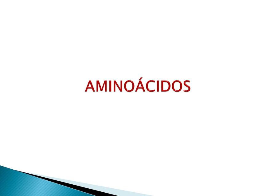 Aminoácidos