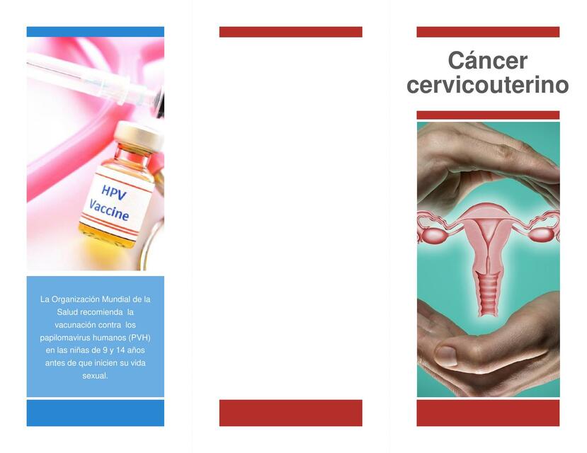 Tríptico de Cáncer Cervicouterino