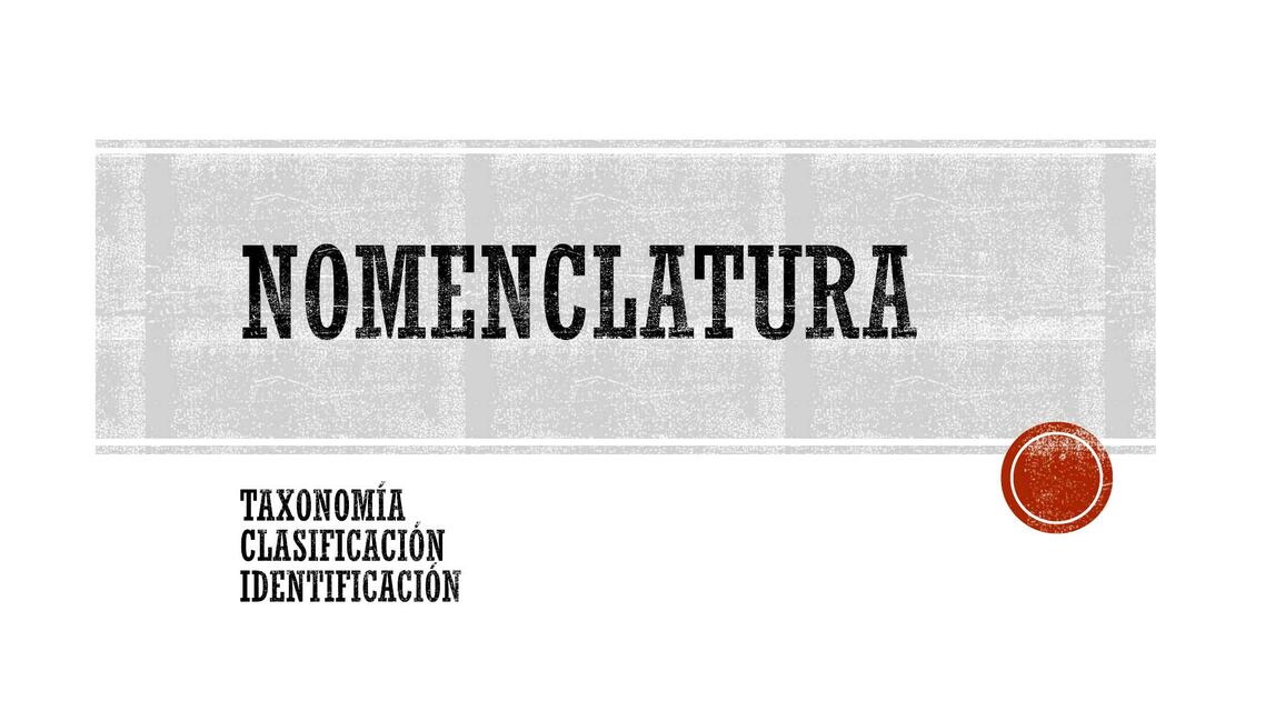 Nomenclatura Y Taxonomía De Microbiología Samantha Shernandez Udocz Nomenclatura Y Taxonomía De Microbiología Samantha Shernandez Udocz
