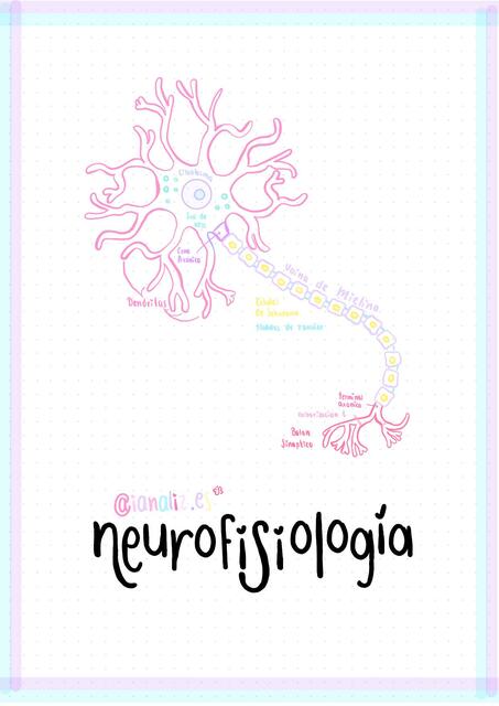 Neurofisiología