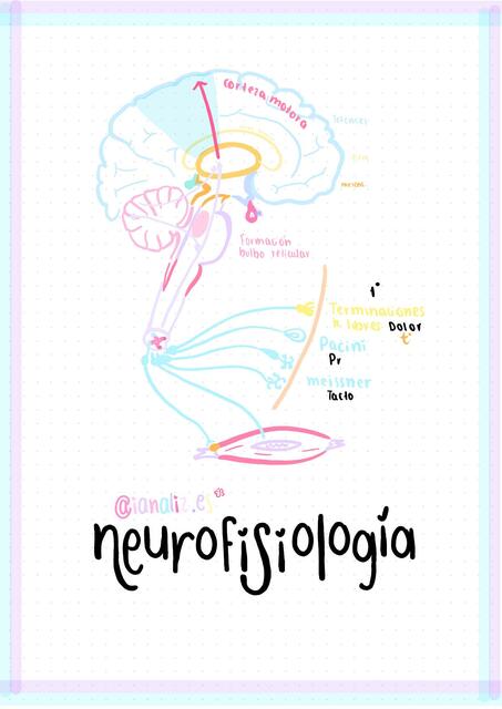 Neurofisiología 