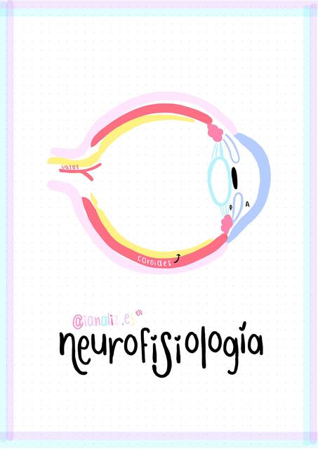 Neurofisiología