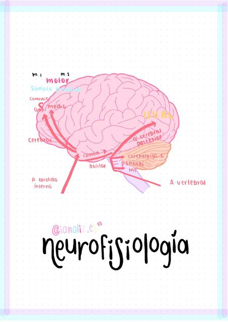 Neurofisiología 